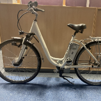 E-Bike Unisex (Pegasus)