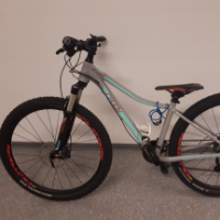 Mountain-Bike (Radon)