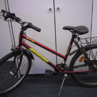 Kinderrad (Camporello)