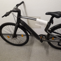 E-Bike Herren (Utopia)