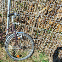 Cityfahrrad (Hercules)