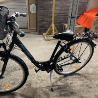 Damenrad (Raleigh)