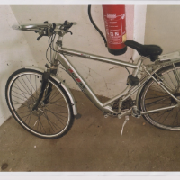 Herrenrad (Sonstige)