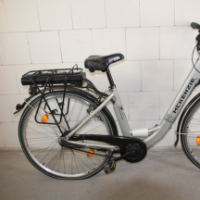 E-Bike Unisex (McKenzie)