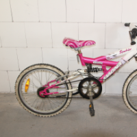 Mountain-Bike (Magna Sparkler)
