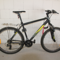 Mountain-Bike (Serious)