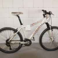 Mountain-Bike (Stevens)