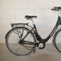 Damenrad (Diamant)
