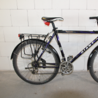 Cityfahrrad (Giant)