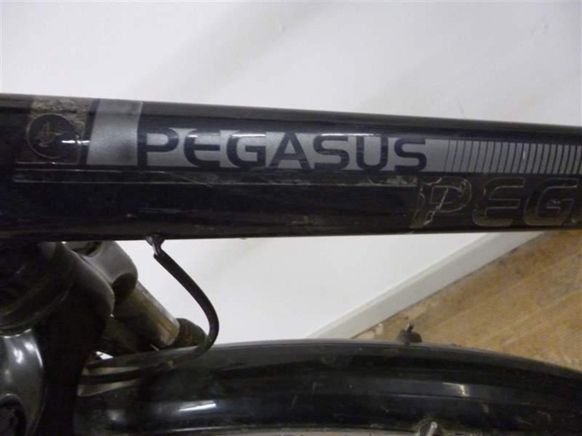 Herrenrad (Pegasus)