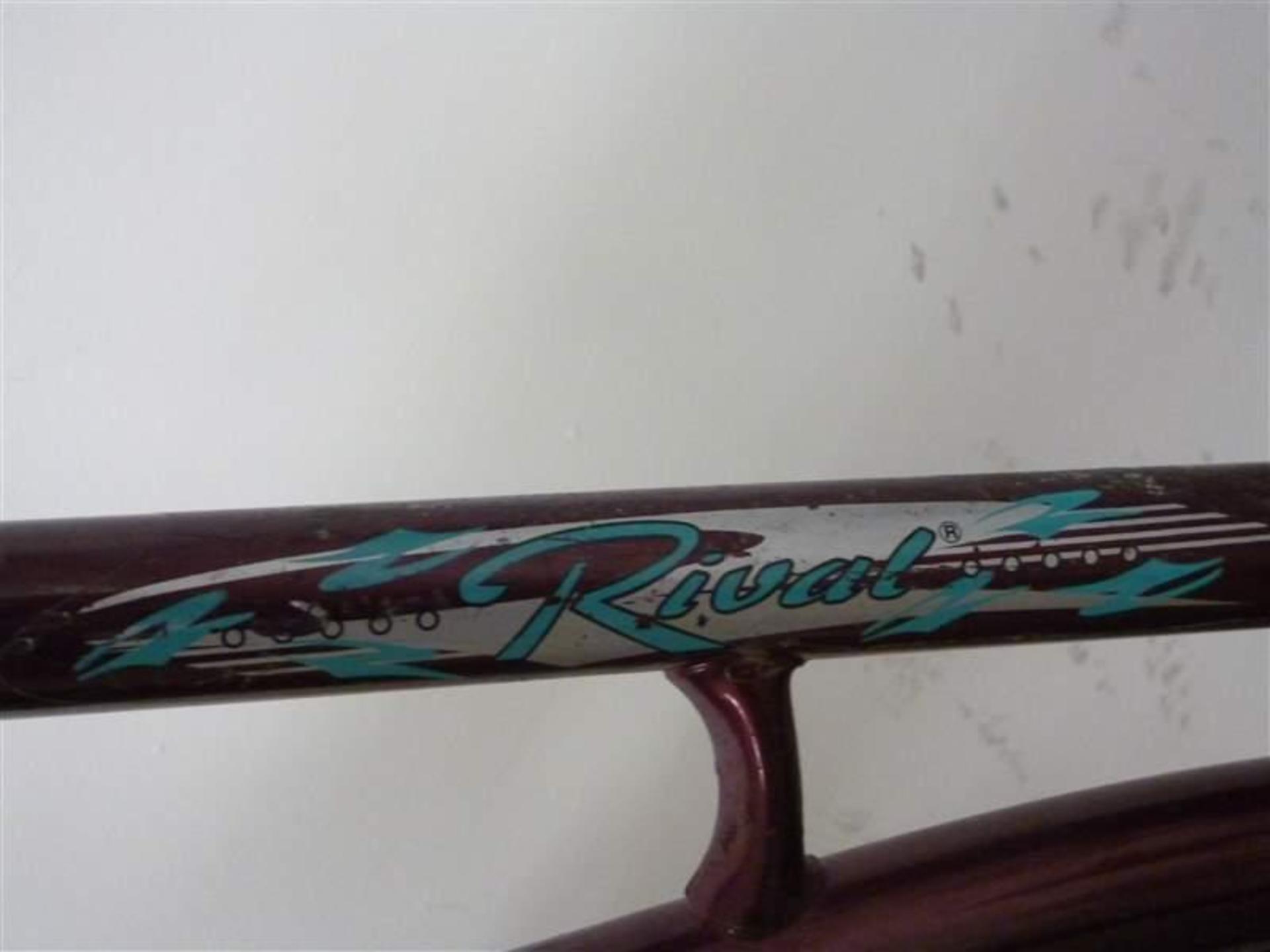 Damenrad Rival