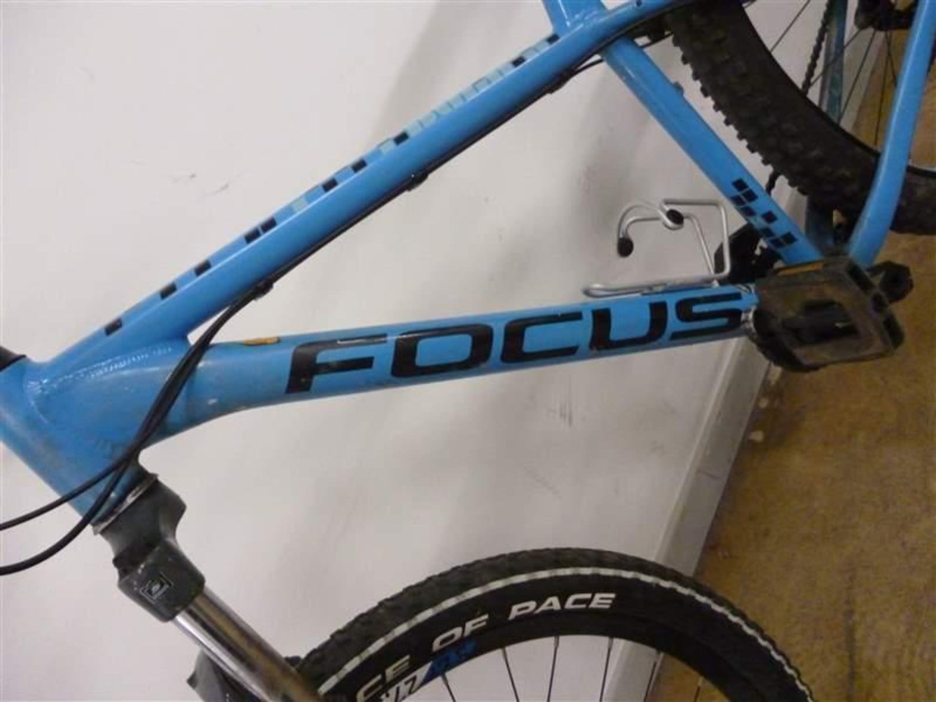Herrenrad Focus