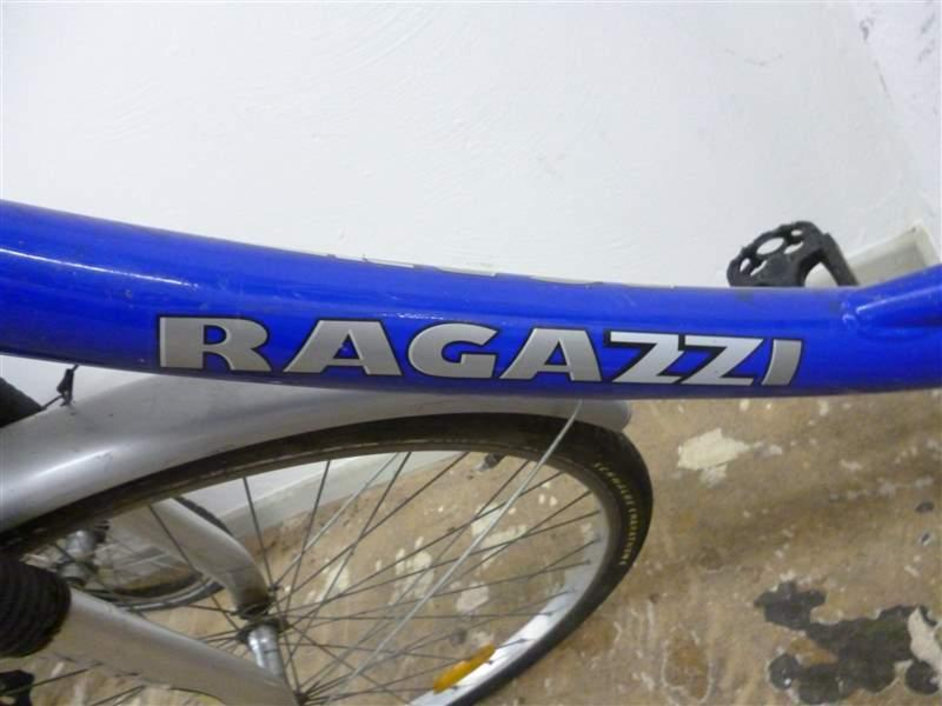 Damenrad (Ragazzi)