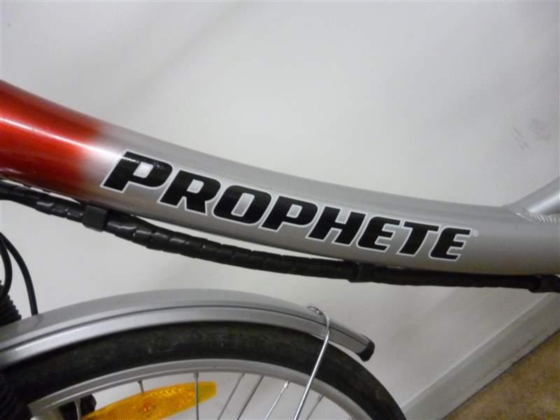 Damenrad Prophete