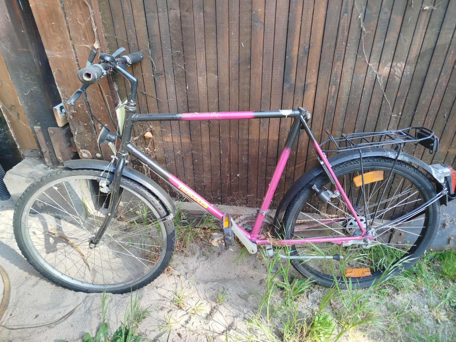 Herrenrad (Hercules)