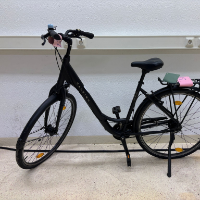 Damenrad (Raleigh)