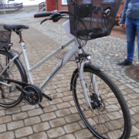 Damensportrad DIAMANT Ubari Sport