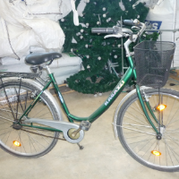 Cityfahrrad (Ragazzi)