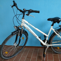 Cityfahrrad (Rehberg)