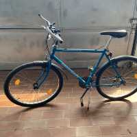 Herrenrad