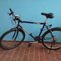 Herrenrad (Giant)