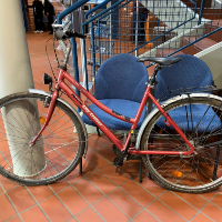 Damenrad (City Cruiser)