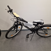 Mountain-Bike (Sonstige)