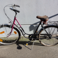 Damenrad (Heidemann)