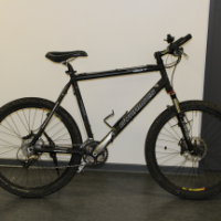 Mountain-Bike (Dynamics)