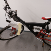 Mountain-Bike (Fischer)