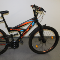 Mountain-Bike (Licorne)