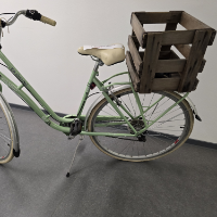 Damenrad (KS Cycling)