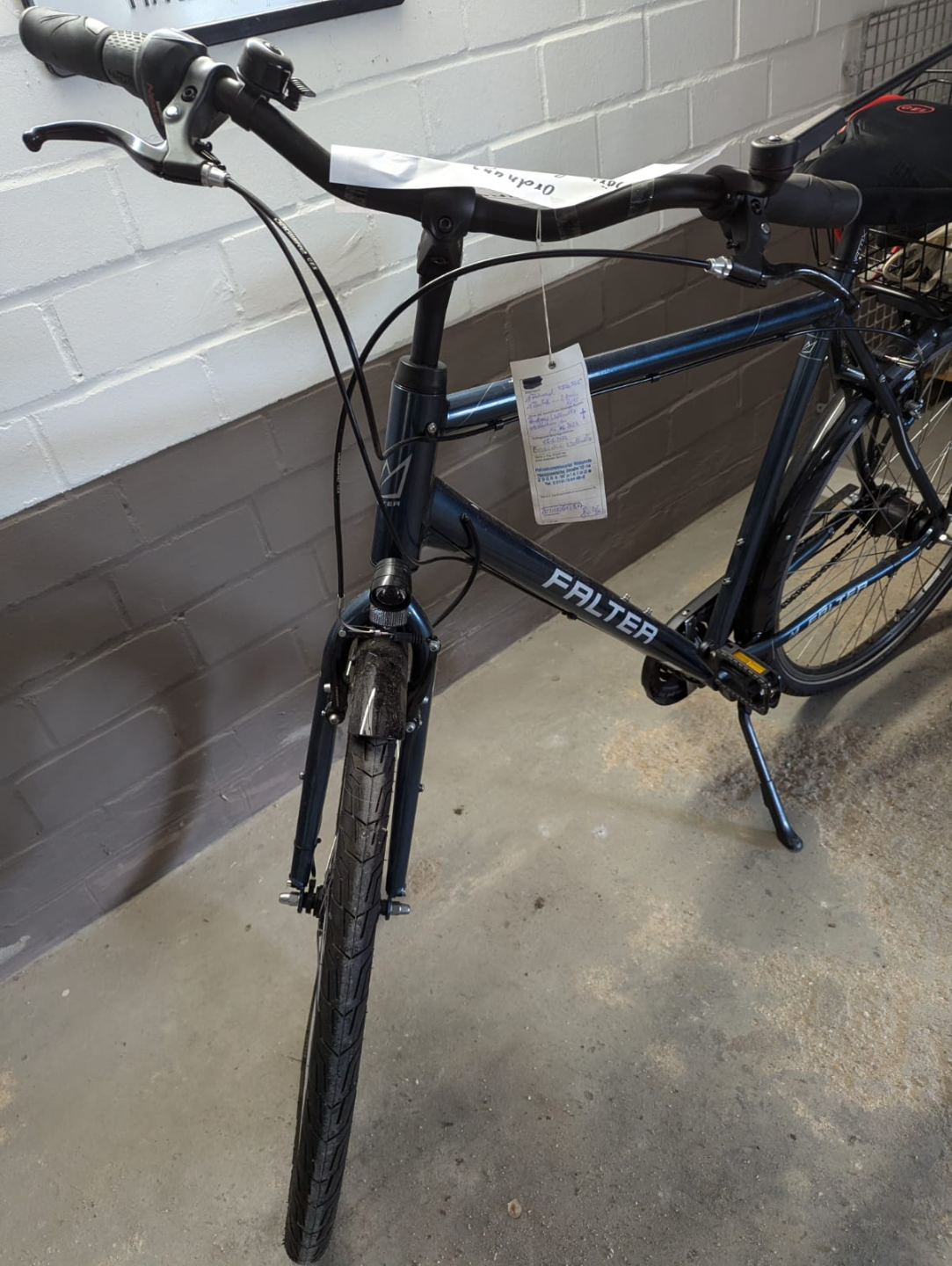 Herrenrad (Falter)