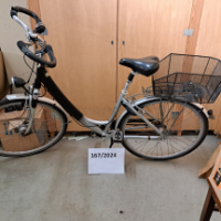 Damenrad (Green’s)