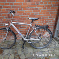 Cityfahrrad (Sonstige)