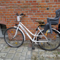 Damenrad (Performance)