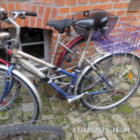 Cityfahrrad (Sonstige)