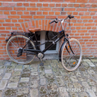 Cityfahrrad (Rehberg)