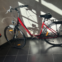 Cityfahrrad (Pegasus)