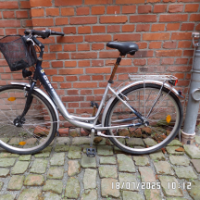 Cityfahrrad (Sonstige)