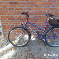 Cityfahrrad (Sonstige)