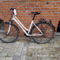 Cityfahrrad (Diamant)
