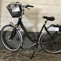 Naistenpyörä (Gazelle)