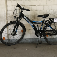 Bicicleta infantil (Pegasus)