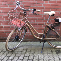 Elcykel dame (Fischer)