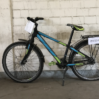 Mountainbike (Falter)