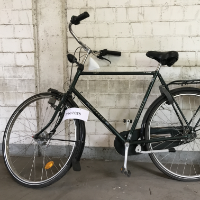 Bicicletta da uomo (Gazelle)