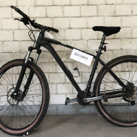 Mountainbike (Giant)