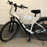 Bicicletta da uomo (Pegasus)