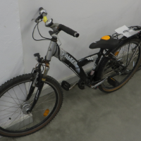 Mountain-Bike (Falter)